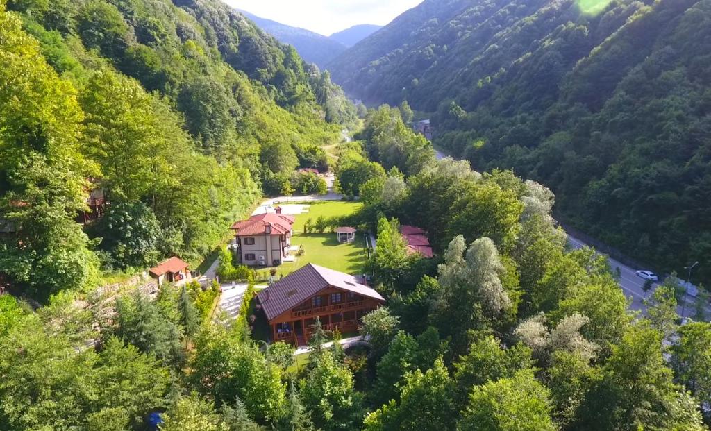 Příroda nedaleko hotelu