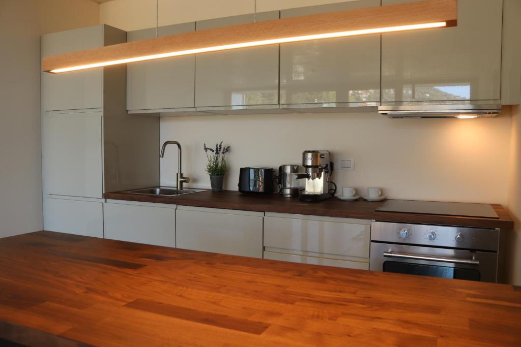 Kuchnia lub aneks kuchenny w obiekcie Panorama Apartment
