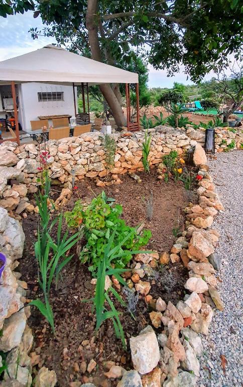 a garden with rocks and plants in front of a building at Hakuna matata in Benagil