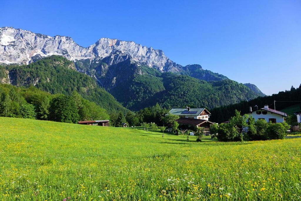 een groen veld met een huis en bergen op de achtergrond bij Berghof Lippenlehen in Marktschellenberg