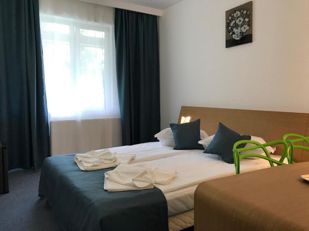 Postel nebo postele na pokoji v ubytování Hotel Lebăda