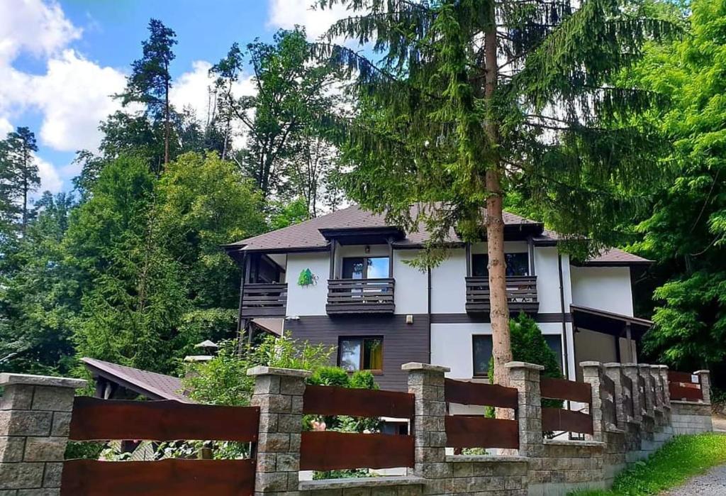 a house with a fence in front of it at Laura Villa in Sovata