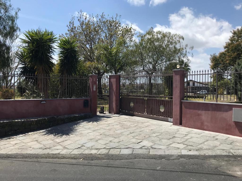 una valla con una puerta con palmeras detrás en Holiday house start point, en Aci Bonaccorsi