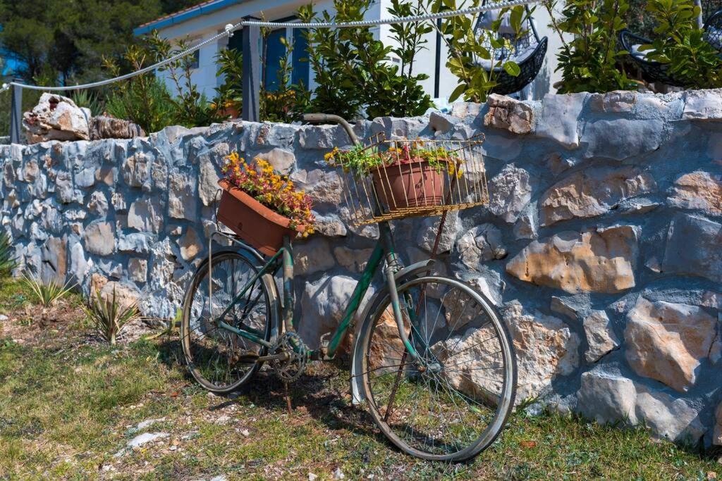 Zahrada ubytování Isolated paradise Adio Mare Milna Brač