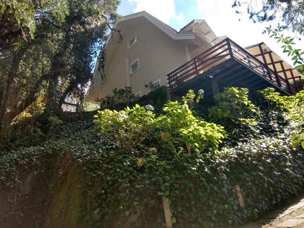  Forest Pine Inn
