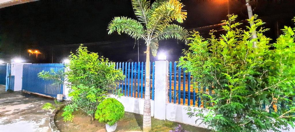 Zahrada ubytování Kota Kinabalu Sabah City Homestay