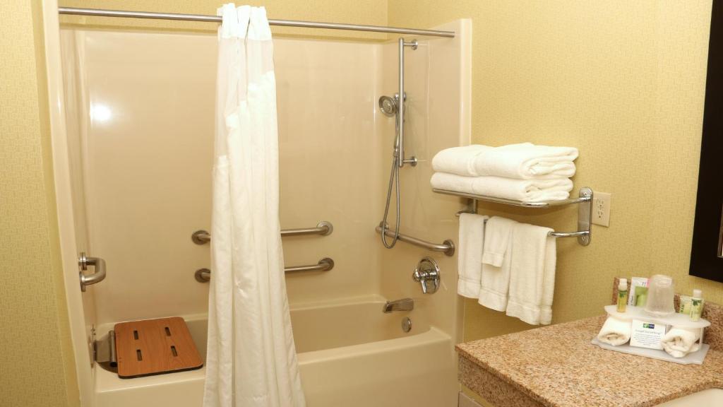 Holiday Inn Express Hotel & Suites Saginaw by IHG - Error