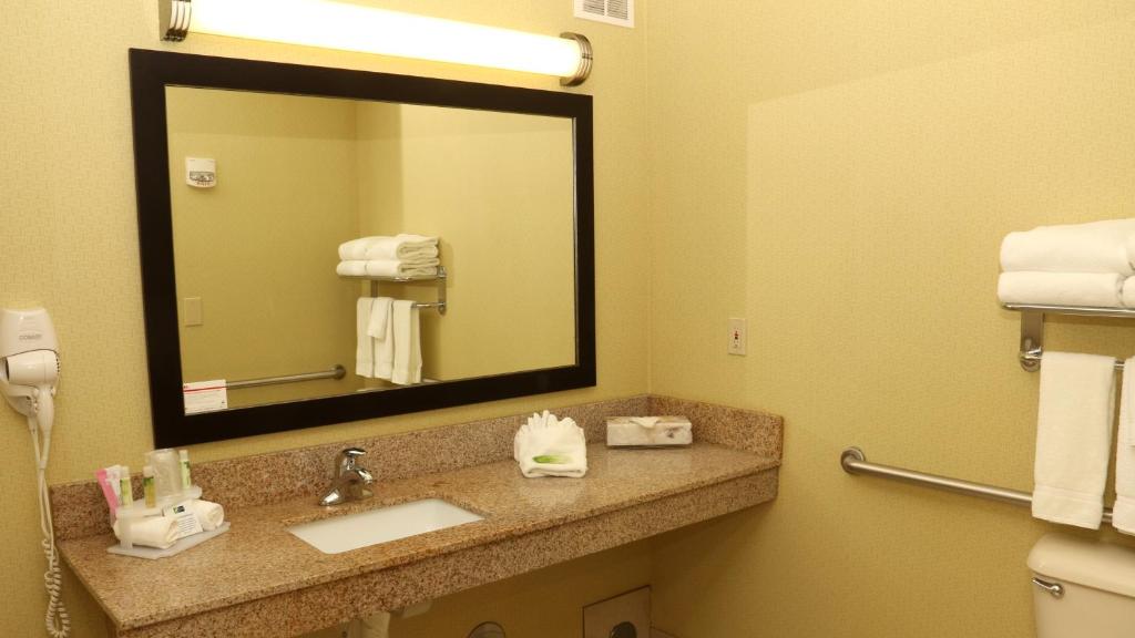 Holiday Inn Express Hotel & Suites Saginaw by IHG - Error