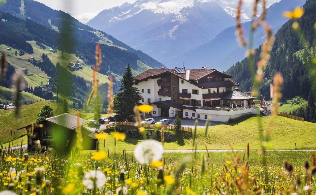 ein Haus auf einem Hügel mit einem Blumenfeld in der Unterkunft Gast- und Ferienhof Christler in Tux