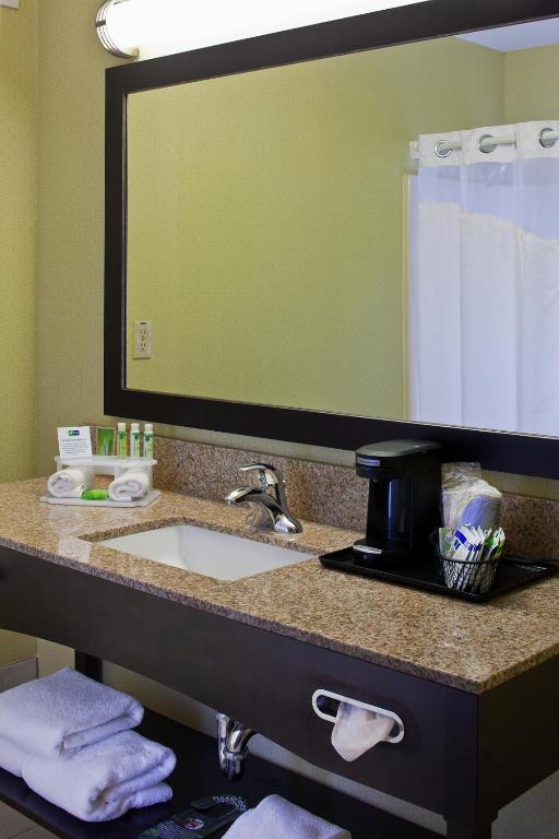 Holiday Inn Express Hotel & Suites Saginaw by IHG - Standardzimmer Mit Kingsize-Bett
