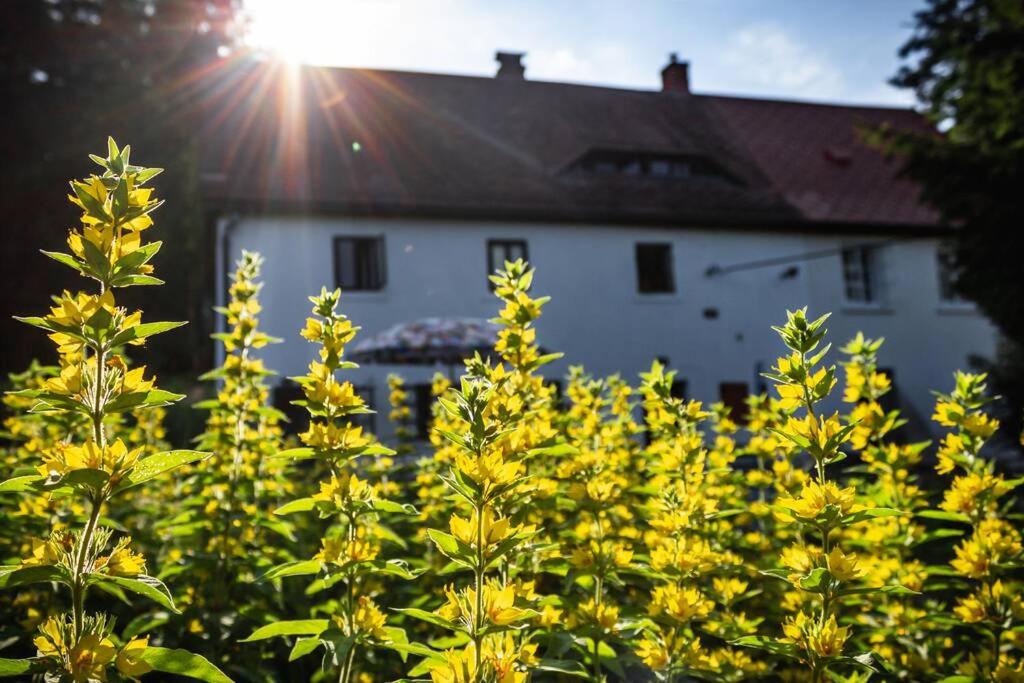 Zahrada ubytování ENJOY COZY Tree House Hills Forest Gardens Beautiful Views Sauna Hotbath