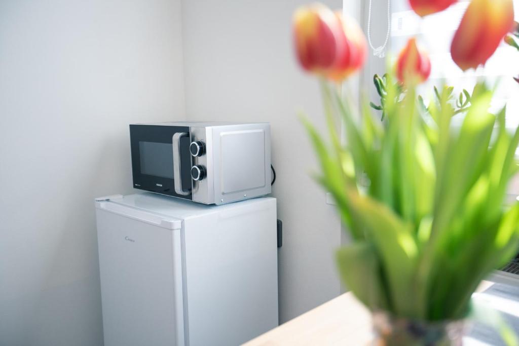 Zdjęcie z galerii obiektu Ubytování na samotě - Apartmán U Tesařů w mieście Komařice