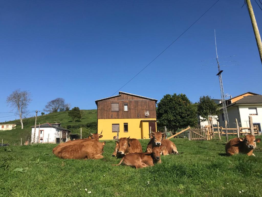 Zvířata v prázdninového domu nebo okolí