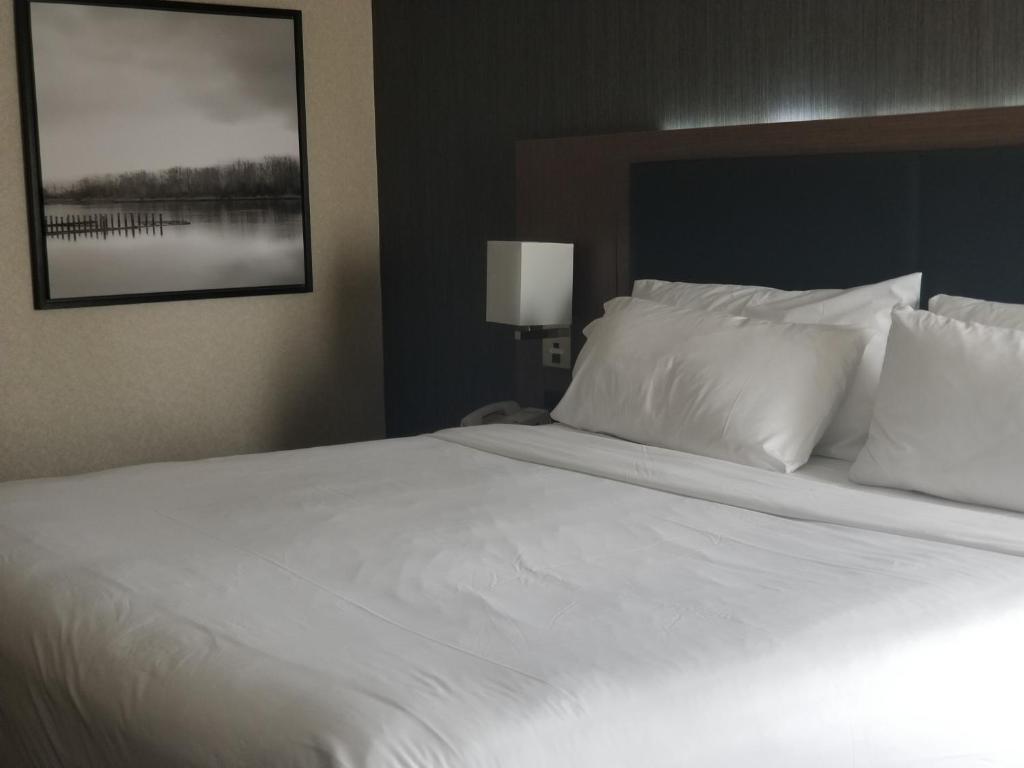 Holiday Inn Express Edmonton Downtown by IHG - Resim 12