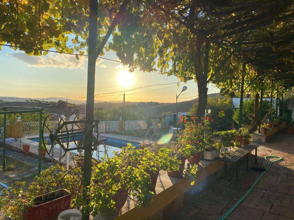 La Ponderosa Casa de campo Sierra Grazalema, Prado del Rey (precios