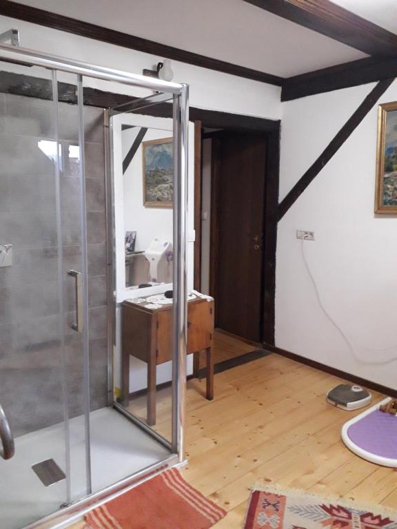 a glass shower in a room with a desk at Residence Gölsch 161 in Sînpetru