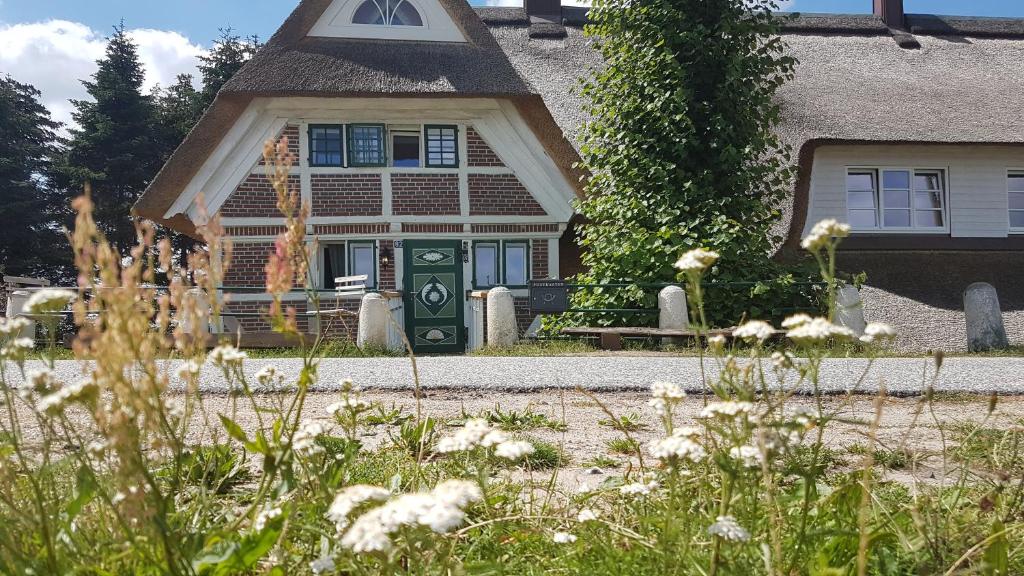 una casa con una puerta verde y un banco delante de ella en Haus Anna Elbe, Bauernhaus-Ferienwohnungen an der Elbe en Hamburgo