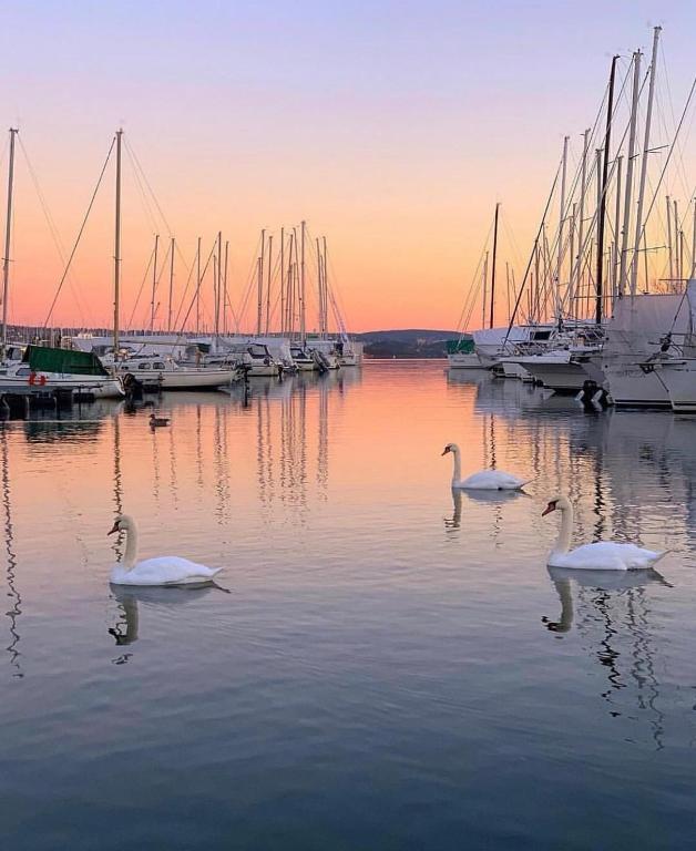 First Hotel Millennium - Resim 42