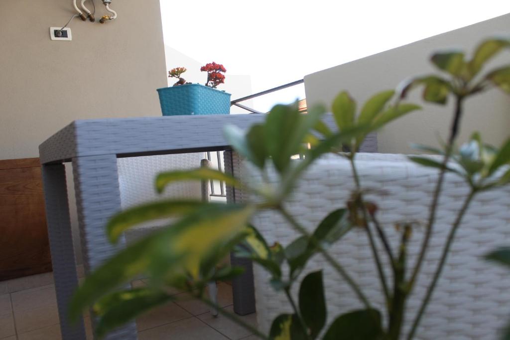 Balkon oz. terasa v nastanitvi Costeras