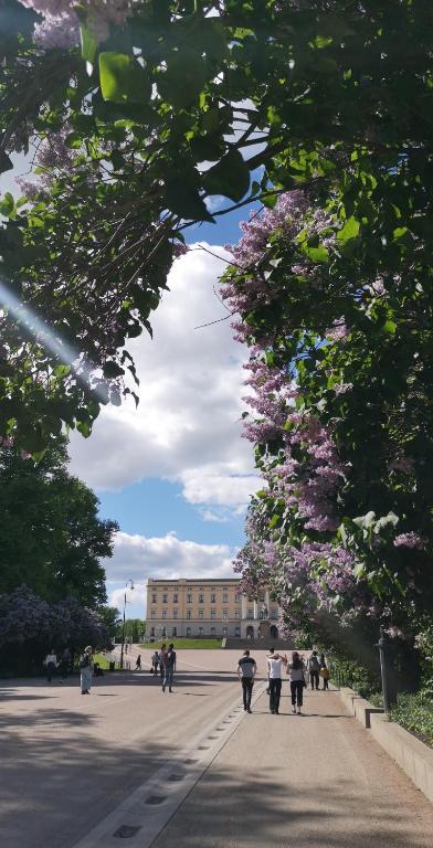 First Hotel Millennium - Resim 39