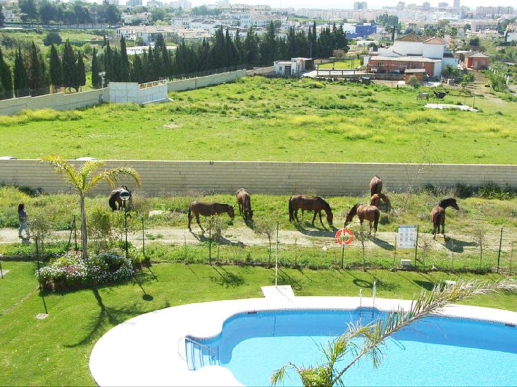 Fotografia z galérie ubytovania Rentcostadelsol Cortijo Chico v destinácii Málaga