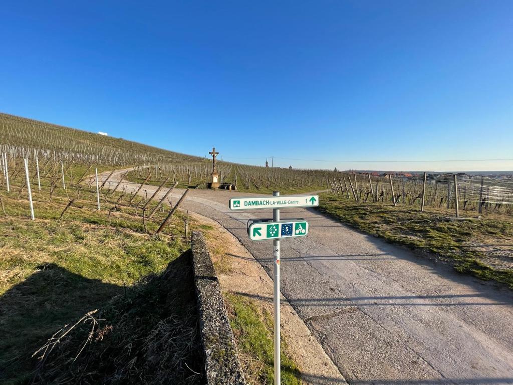 a street sign on a road in a vineyard at Le Refuge du Rempart in Dambach-la-Ville