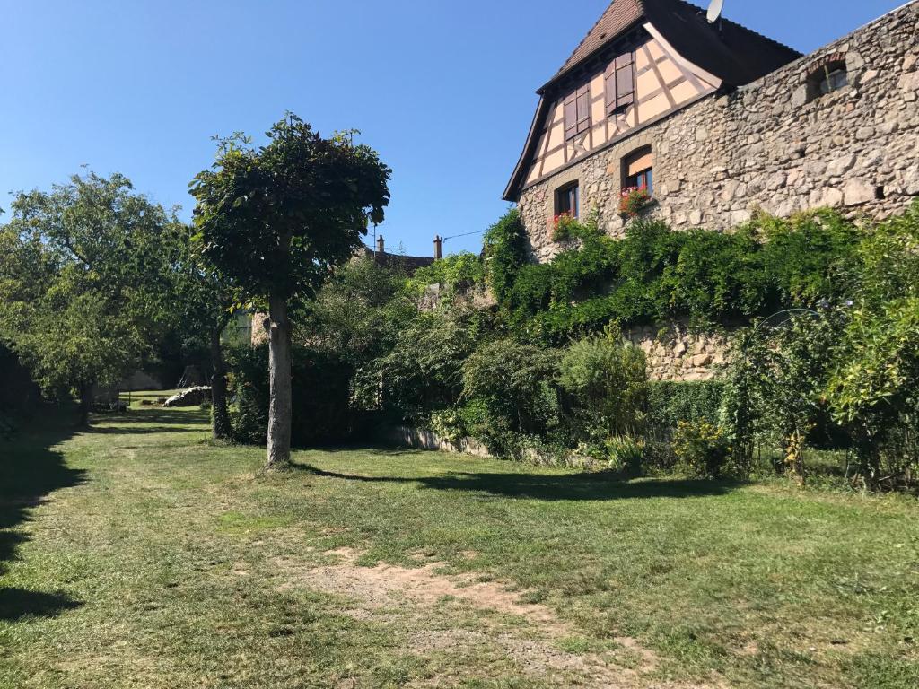 a tree in a yard next to a stone building at Le Refuge du Rempart in Dambach-la-Ville