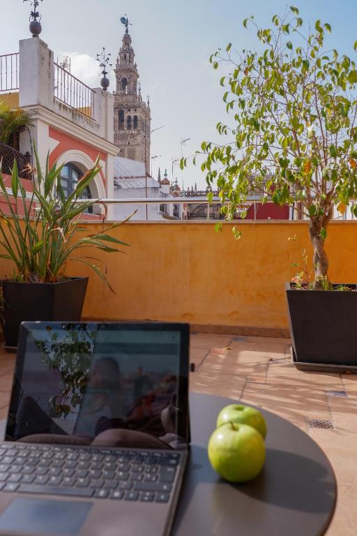 Zahrada ubytování U-Sense Sevilla Centro