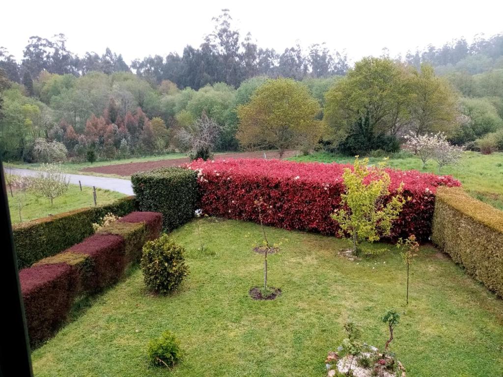 A garden outside Casa O Castelo en Touro
