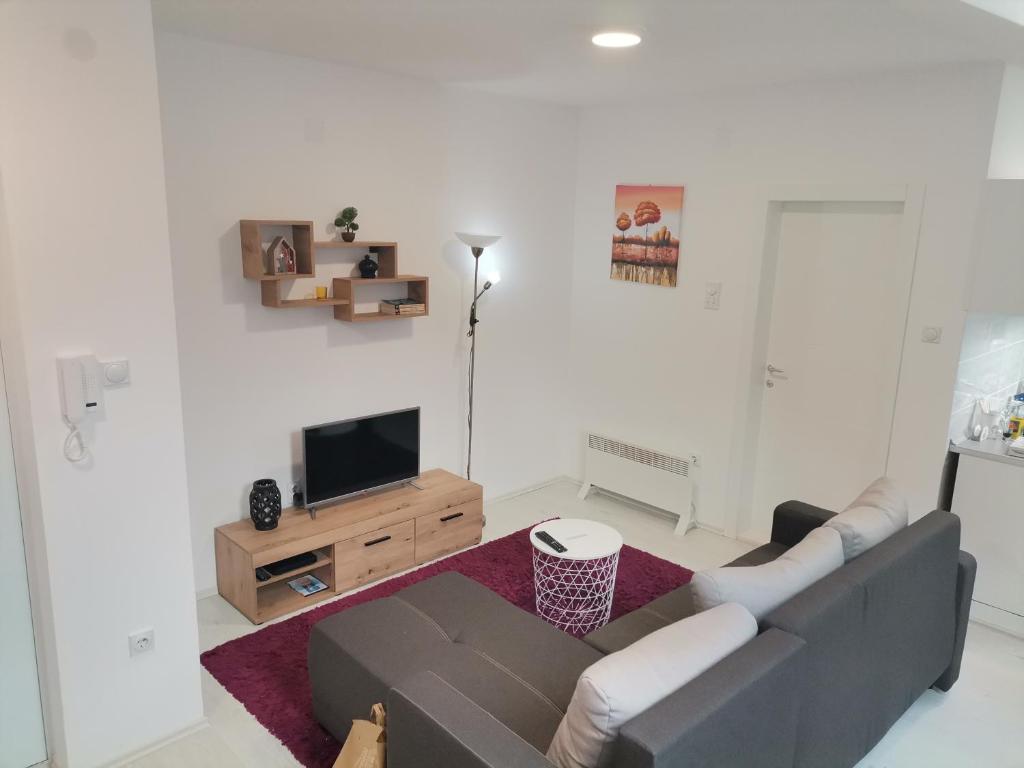 Apartman ST.Nedeljkovic Sokobanja - Studio Di Famiglia