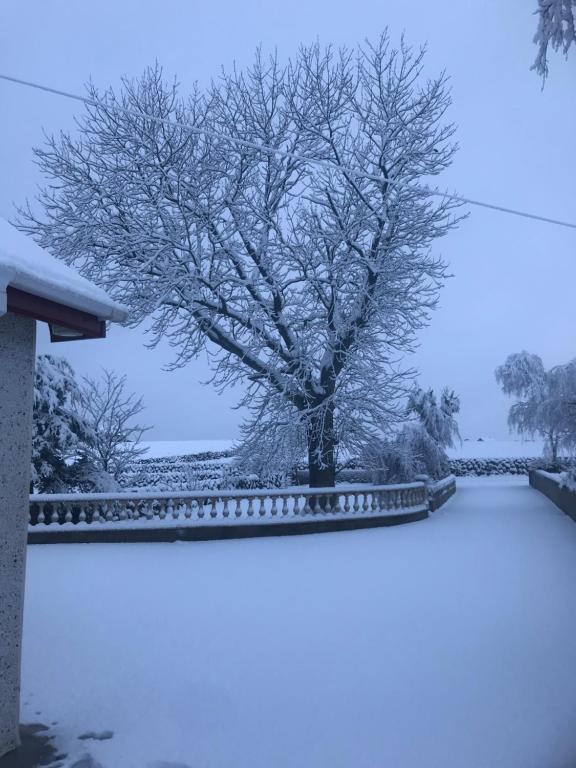 un árbol cubierto de nieve junto a una valla en Lovely 2-Bed Cottage at the Foot of the Mournes, en Newry