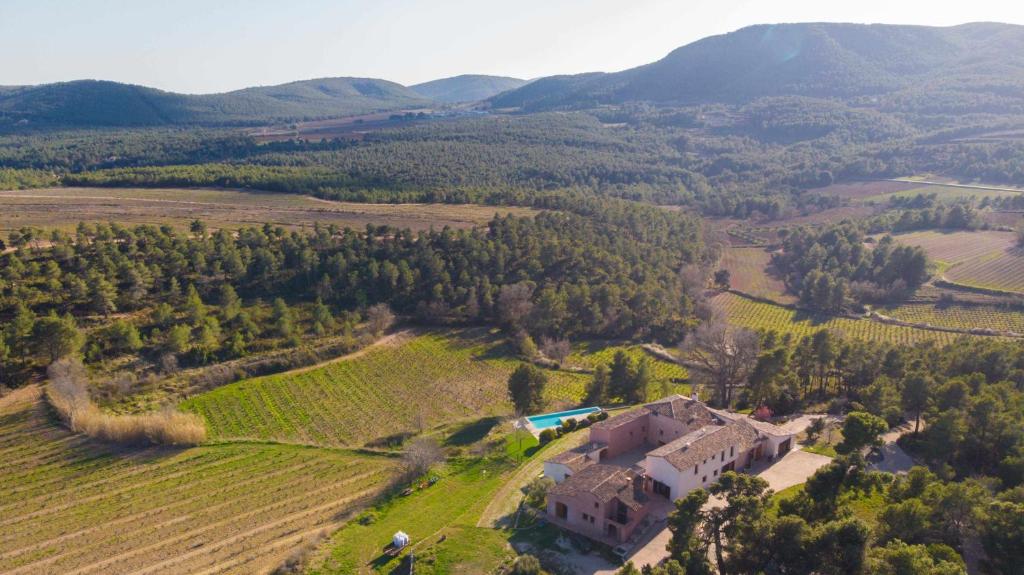 Príroda v okolí of the country house