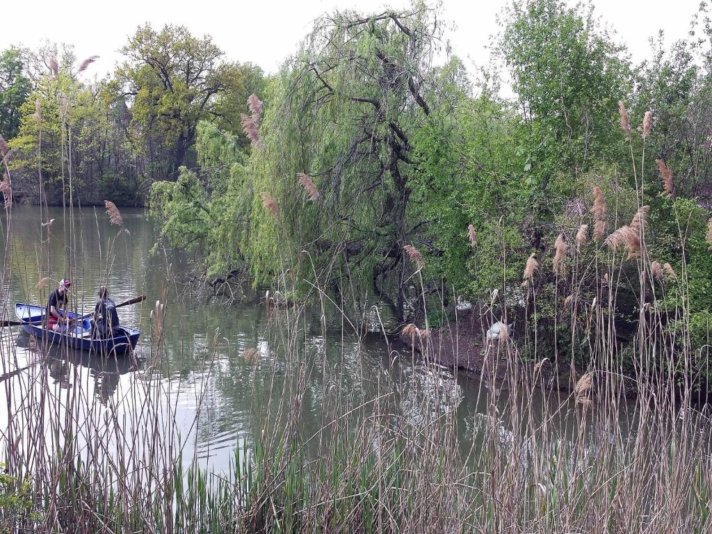 FeWo 2,4,5,6 Altstadt - Am grossen Garten - 16