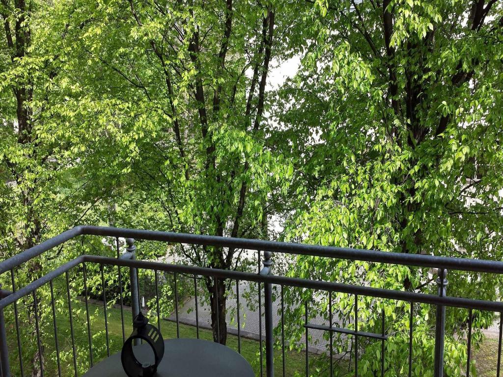 FeWo 2,4,5,6 Altstadt - Am grossen Garten - 7