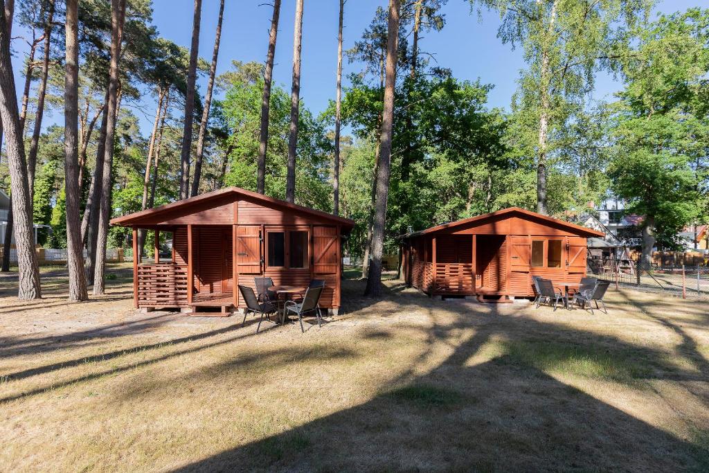 2 cabañas de madera en un parque con sillas y árboles en Domki Letniskowe Kaprys, en Pobierowo