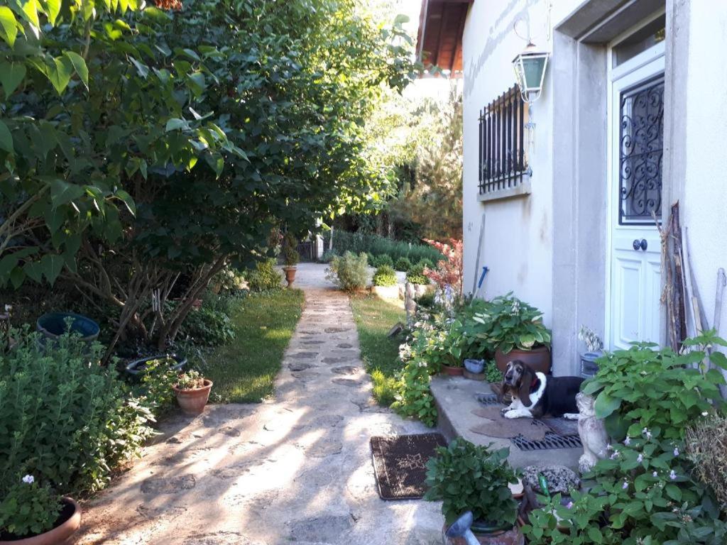 a black and white cat laying on a sidewalk next to a house at La Citadelle in Sainte-Geneviève-lès-Gasny