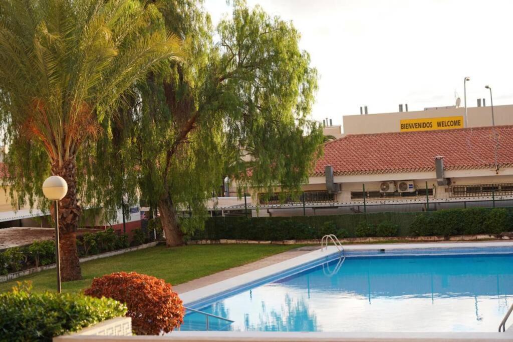 Jardines del Sur, Ocean View (Los Cristianos), Buzanada ...