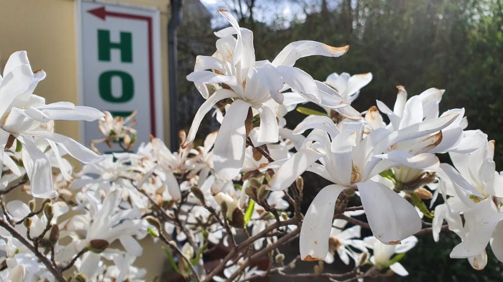 Bornholmer Hof im Prenzlauer Berg - Resim 39