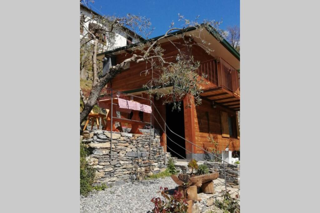 eine Blockhütte mit einer Steinmauer und einem Gebäude in der Unterkunft La Casetta di Molly tra ulivi e roseto in Leivi