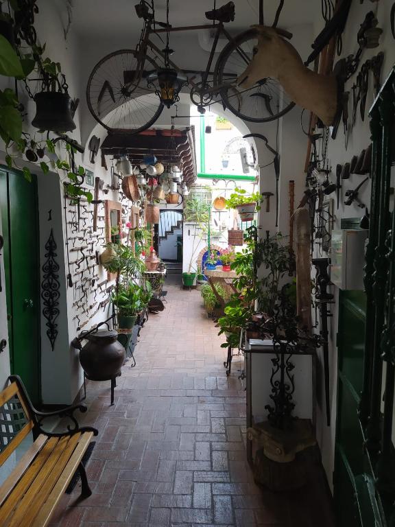 Zahrada ubytování Casa Museo Jerez Centro