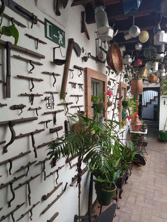 Fotografie z fotogalerie ubytování Casa Museo Jerez Centro v destinaci Jerez de la Frontera