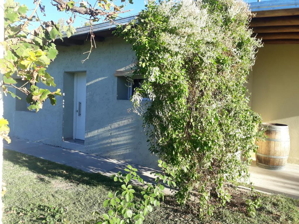 una casa azul con un arbusto delante de ella en Casa de campo Las olivas en San Rafael