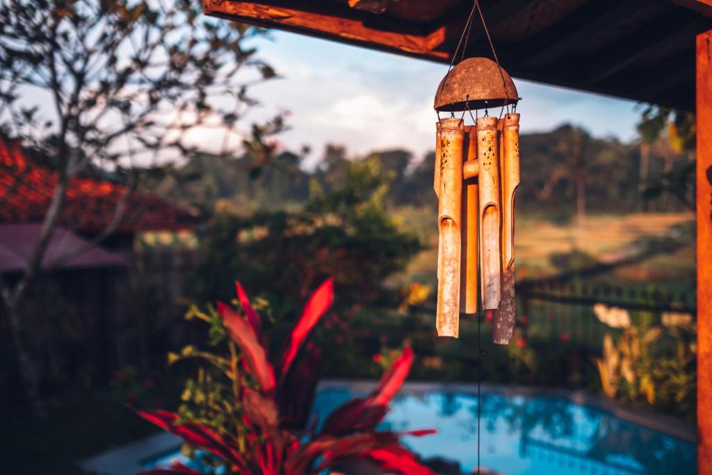 Villa Nextdoor Nature Yogyakarta في بانتول: مطفي الطيور يتدلى من مبنى بجوار حمام سباحة