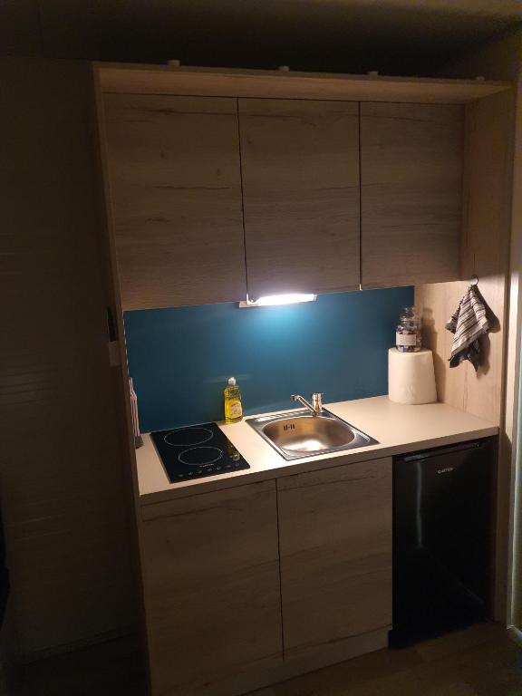 Kuchyň nebo kuchyňský kout v ubytování Roof Apartment ART-PE