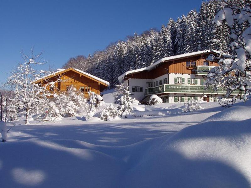 a ski lodge in the snow with snow covered trees at Haus Michinglehen in Marktschellenberg