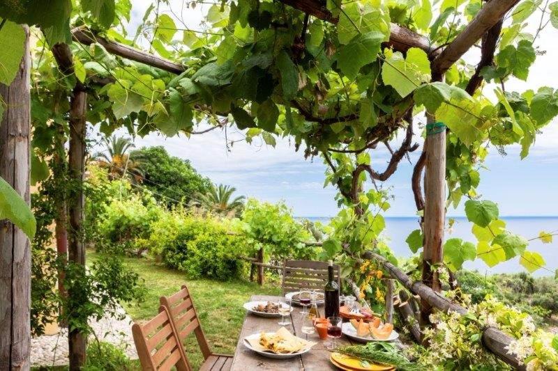 una mesa con platos de comida sentada bajo un árbol en agriturismo la selva, en Finale Ligure