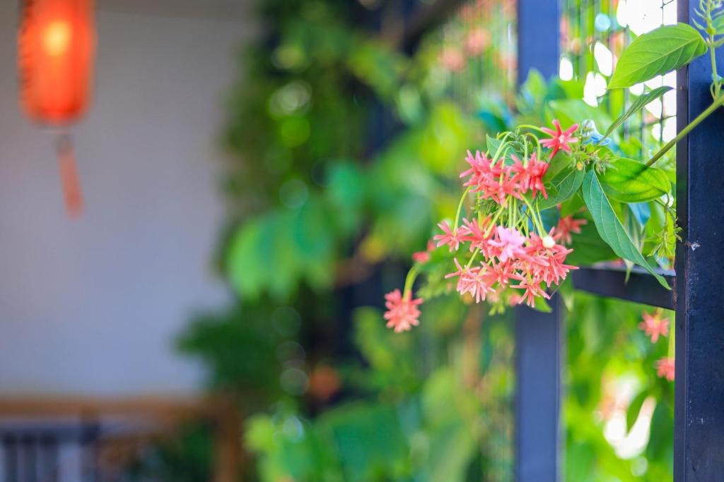 Photo de la galerie de l'établissement HomeStay Võ Thị Yến, à Quy Nhơn