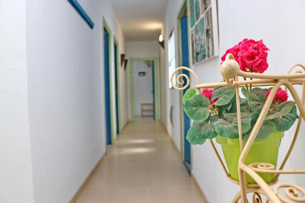 Zdjęcie z galerii obiektu Habitación Cañaveral Playa Conil III w mieście Conil de la Frontera