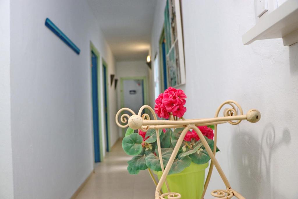 Zdjęcie z galerii obiektu Habitación Cañaveral Playa Conil III w mieście Conil de la Frontera