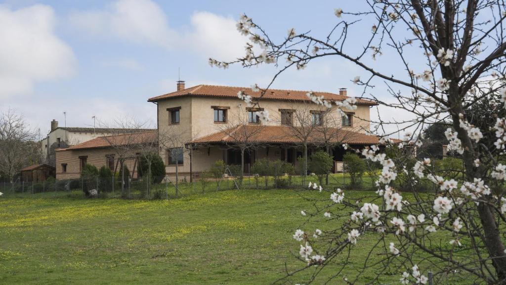 una casa vieja en un campo con flores blancas en Casa Rural Pilón del Fraile, en Oropesa